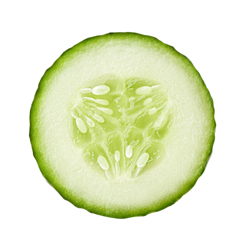 Cucumber
