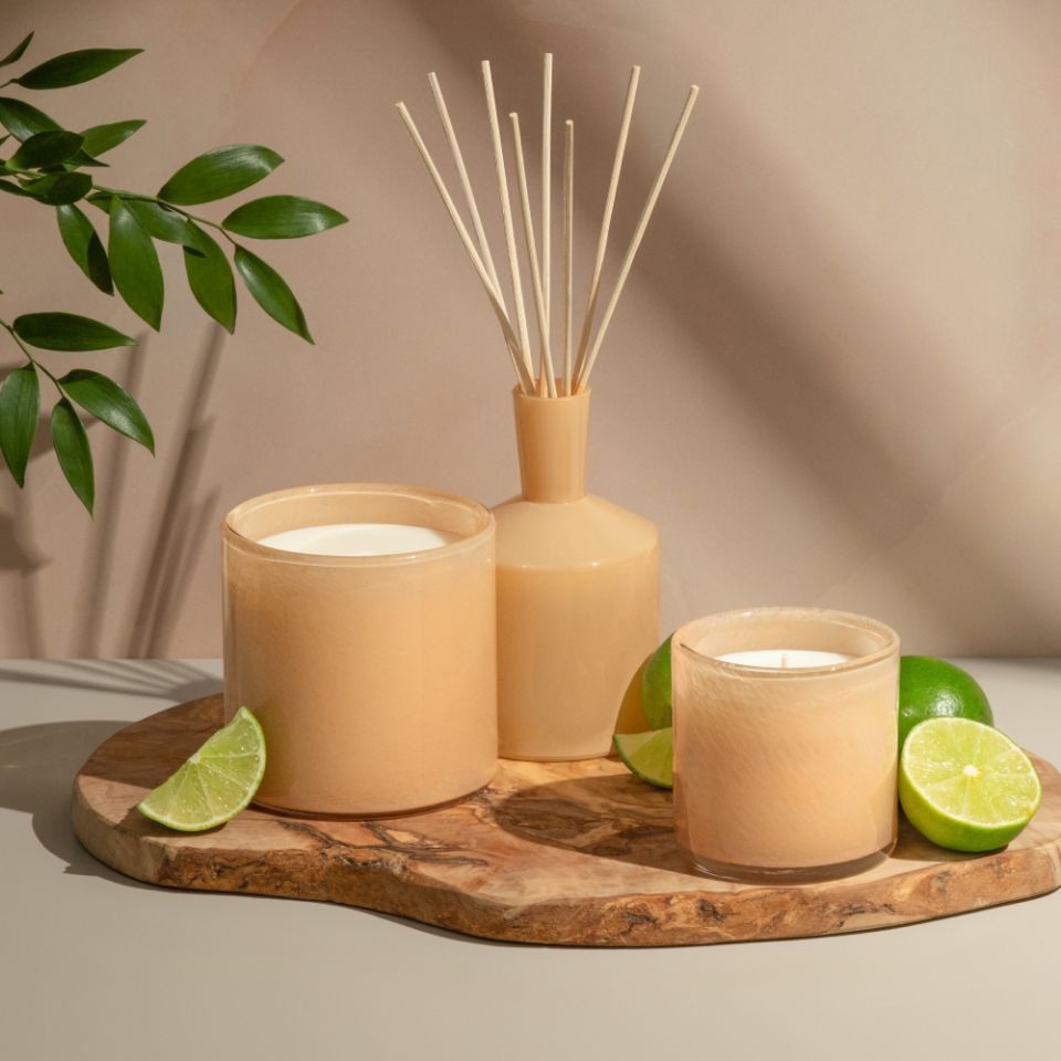 Amazon.com: LAFCO New York Classic Reed Diffuser, Feu de