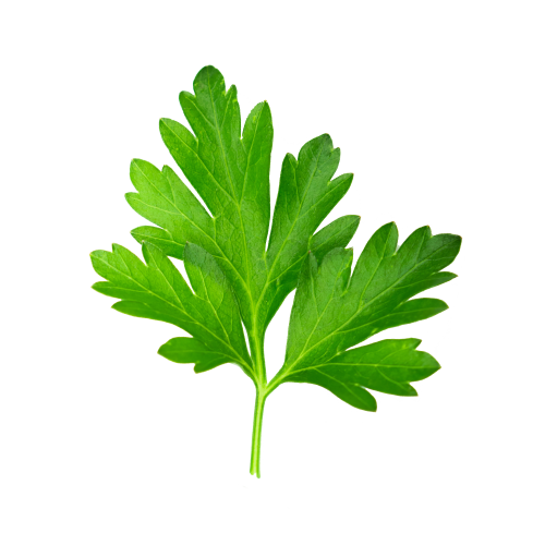 Parsley
