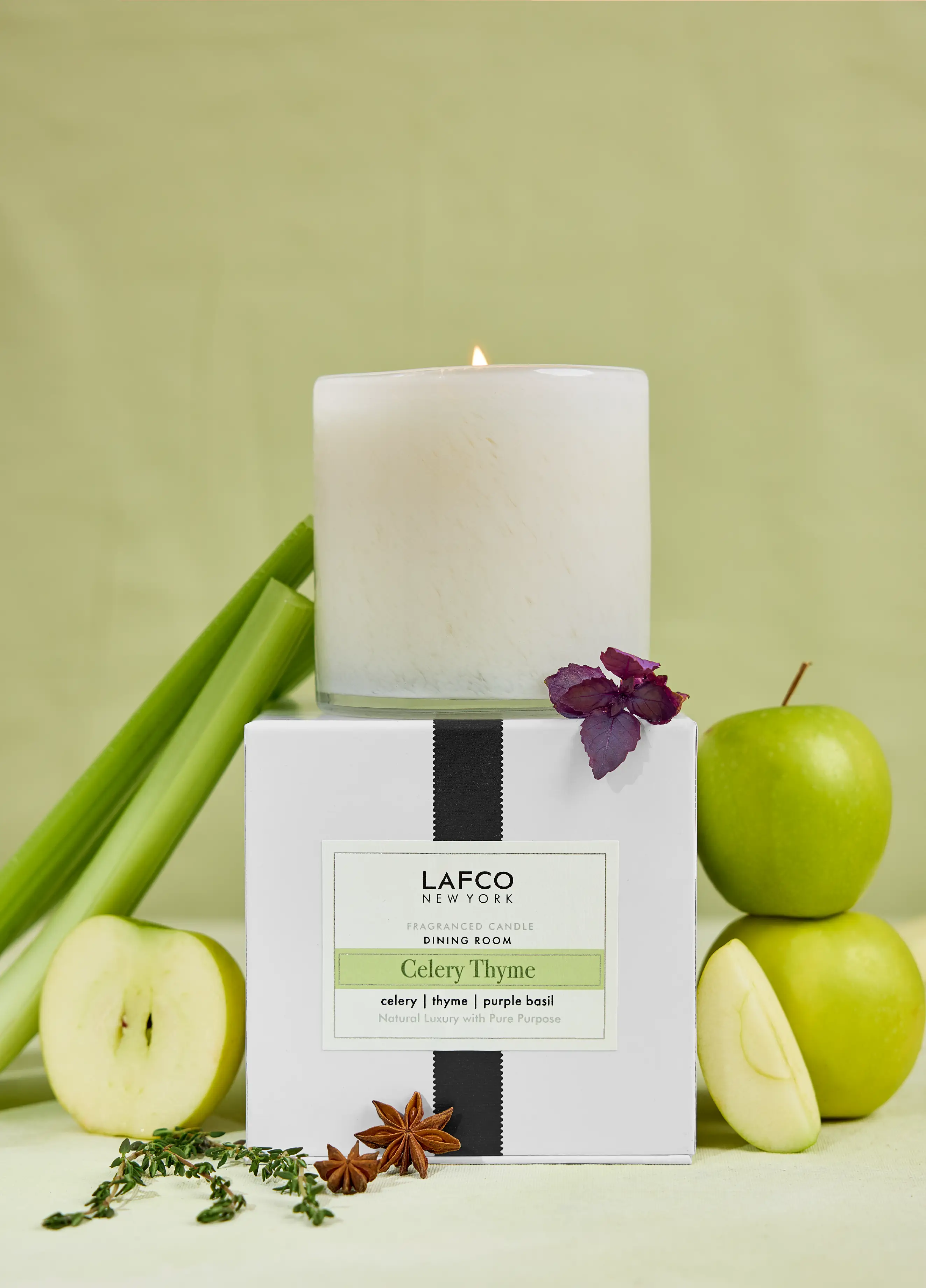 Celery Thyme Signature Candle | LAFCO New York