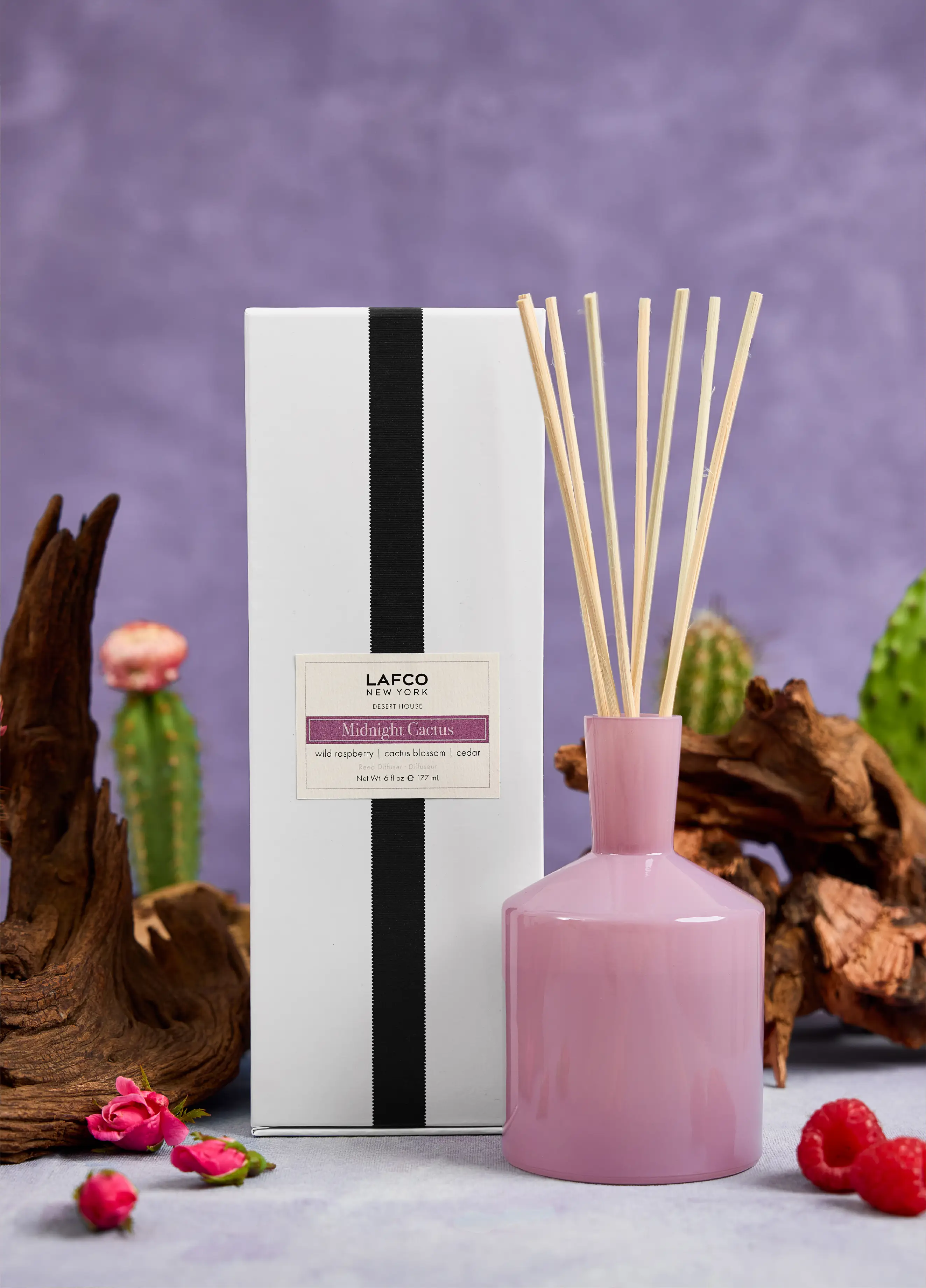 Midnight Cactus Classic Reed Diffuser | LAFCO New York