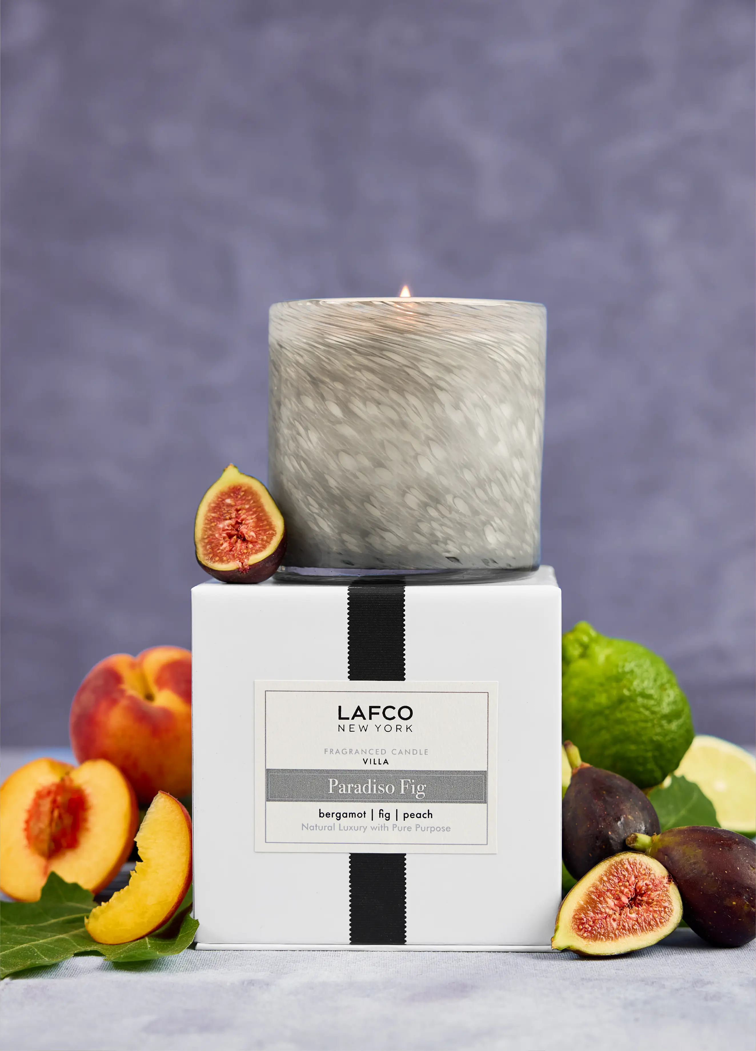 Paradiso Fig | Signature 15.5oz Candle