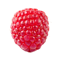 Fragrance profile - Raspberry