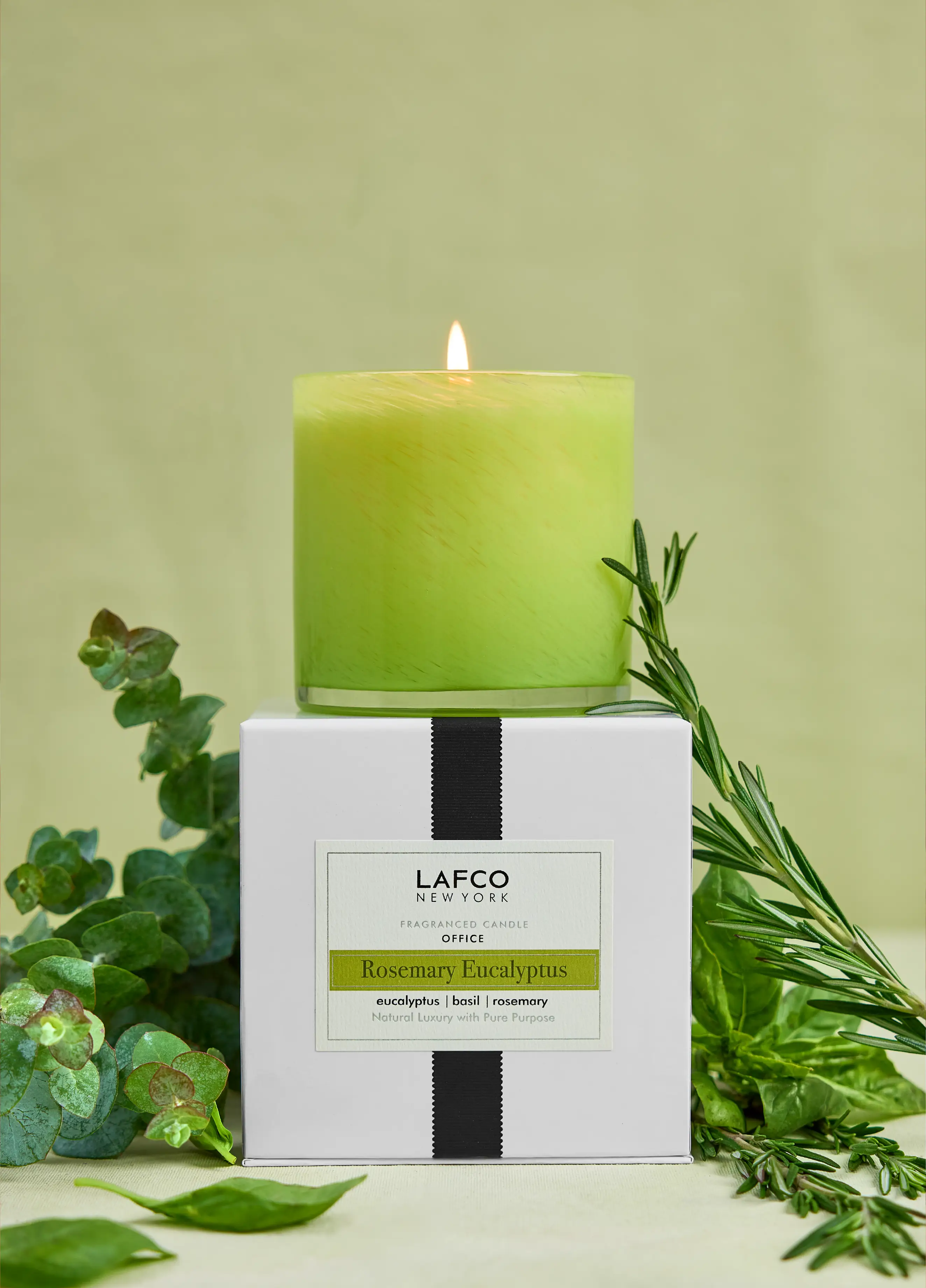Rosemary Eucalyptus | Signature 15.5oz Candle