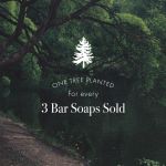 Feu de Bois | Bar Soap 7 oz