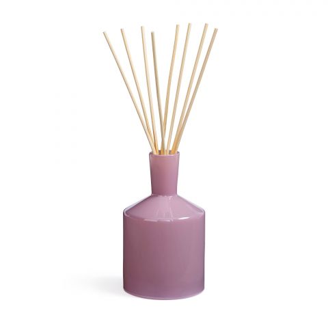 Midnight Cactus | Classic 6oz Reed Diffuser