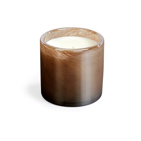 Birchwood Molasses | Classic 6.5oz Candle
