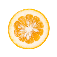 fragrance Bitter Orange