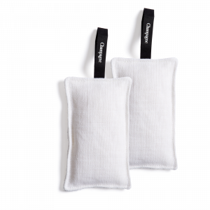 Champagne | Scented Sachet Bundle