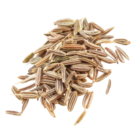 Fragrance Ingredient Note Third