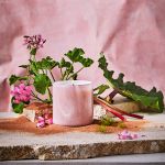 Geranium Bourbon