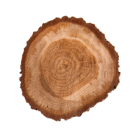 Fireside Oak
