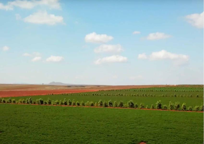 Cross into Africa’s diverse coastal island, where generations of Malagasy live.
